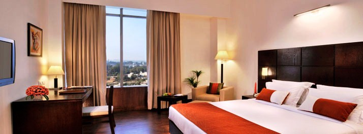 229/Comfort Inn Tulip Heights - Bathinda 07.jpg